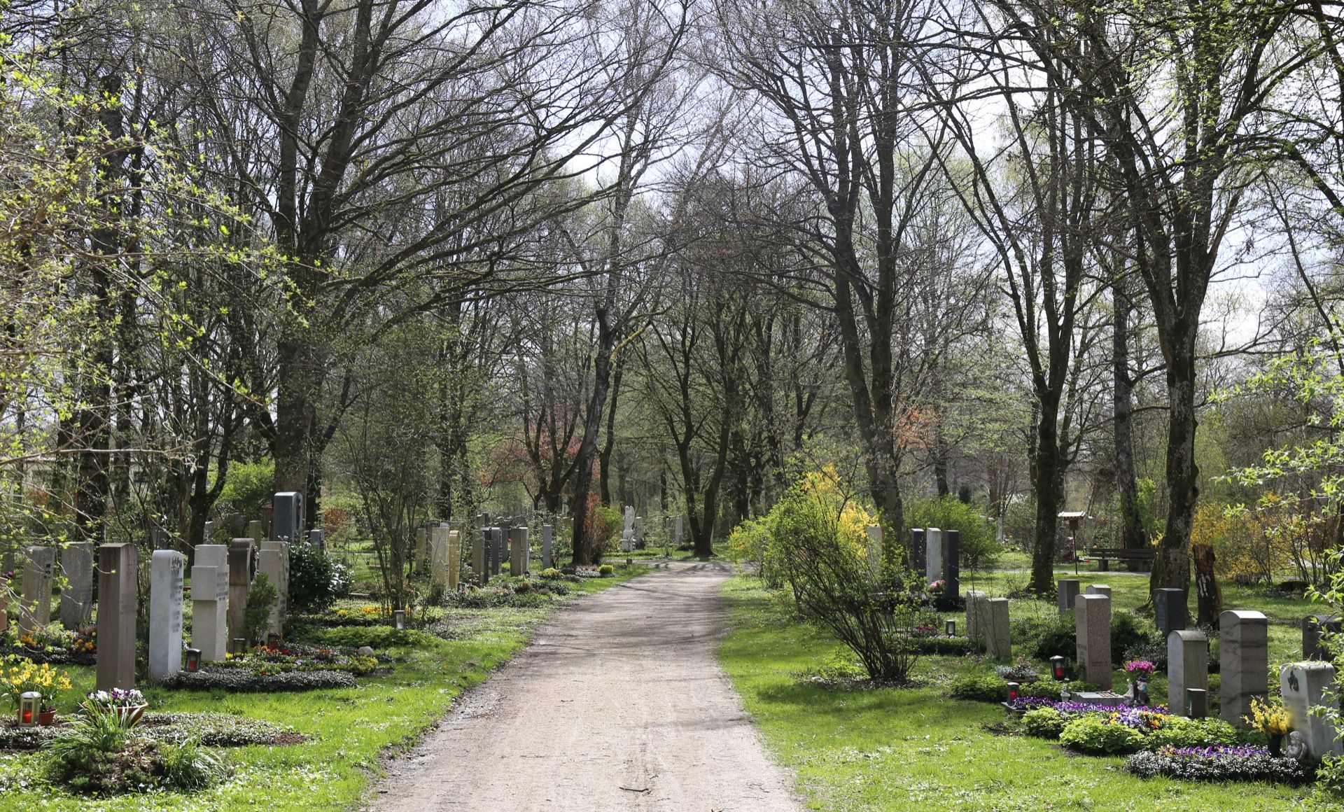 Baumbestandener Weg zwischen bepflanzten Grabstätten auf dem Friedhof am Perlacher Forst